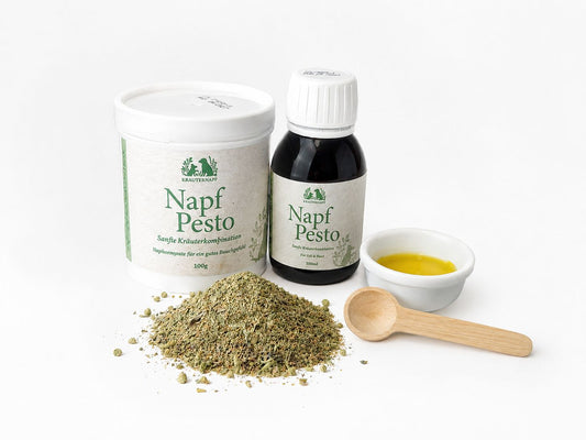 Napf-Pesto für Hunde: Was steckt in unserem Zwei-Komponenten-System?