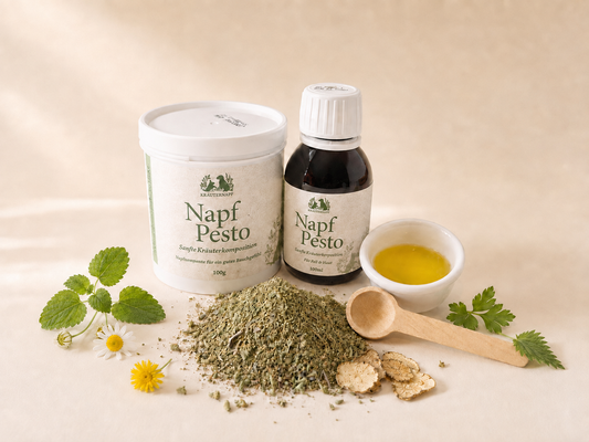 Napf Pesto